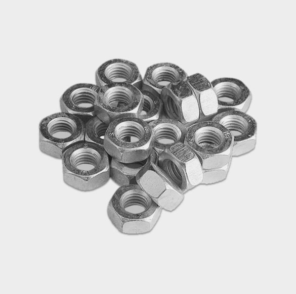 Hex Nuts